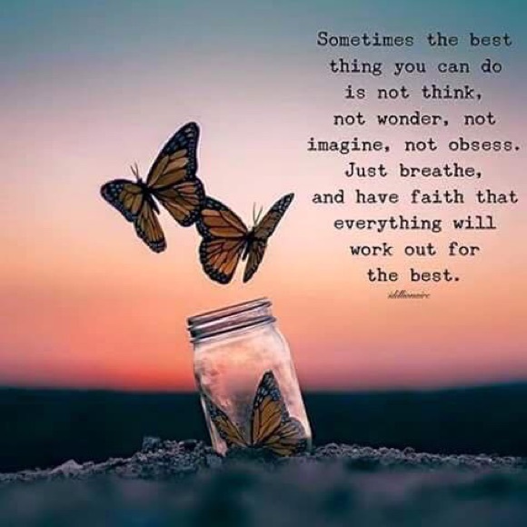 🦋 Welcome to my Closet! 🦋 - Picture 4 of 8